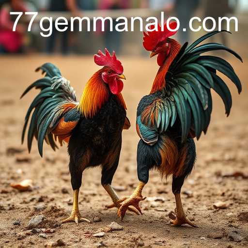 poker heads-up um contra um